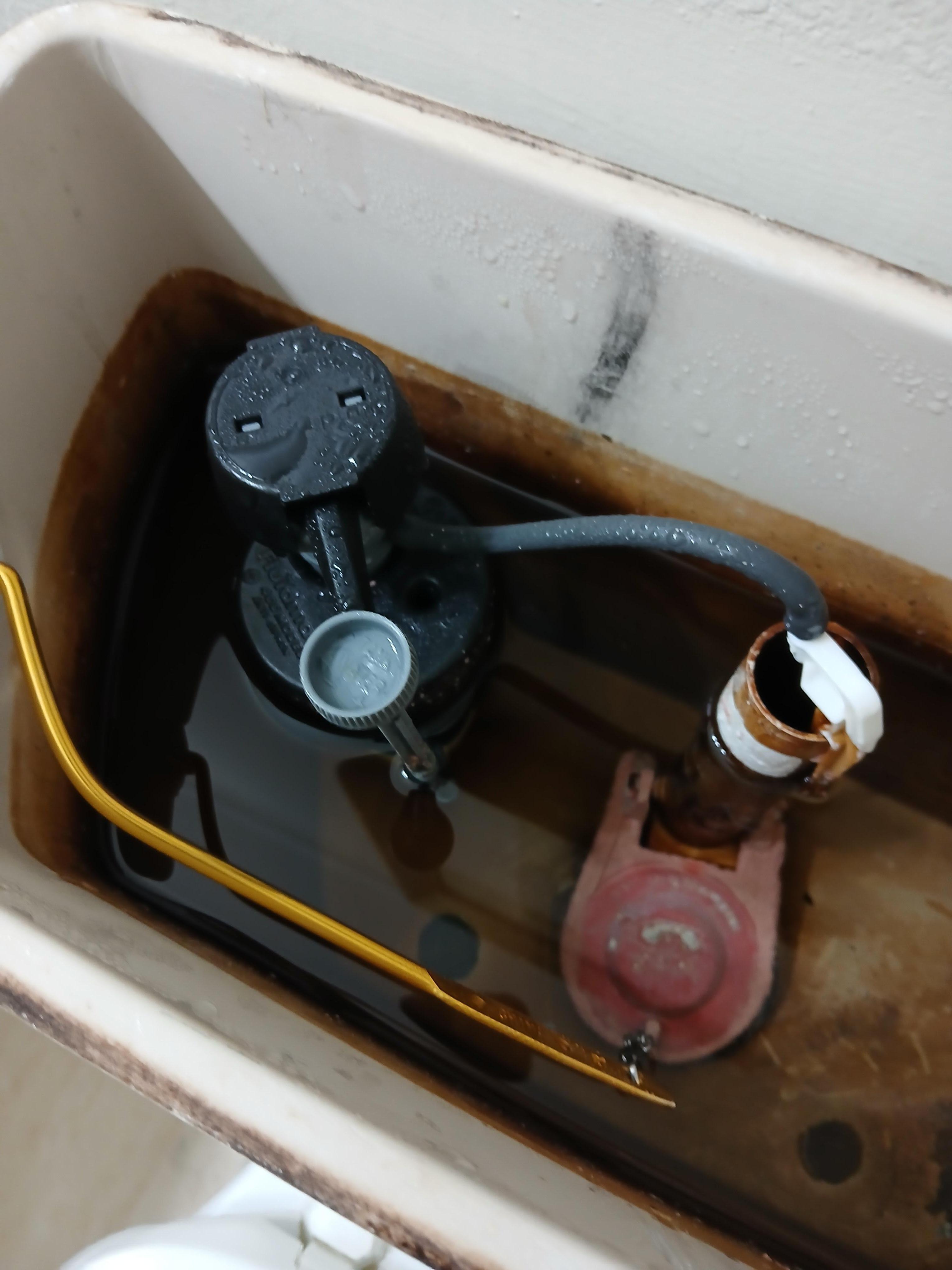 The toilet would not flush at times And if I got it to flush it would run all night. All the time I had to put my head inside the toilet on the plunger and flush it