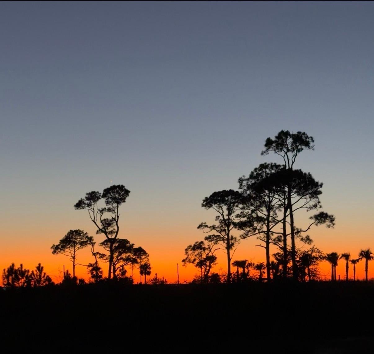 Another stunning view from the back porch.