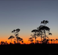 Another stunning view from the back porch.