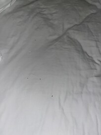 Dirt, hair tie in the bed