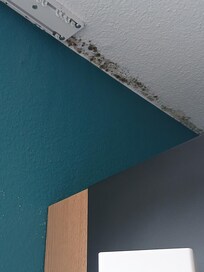 Moisissures sur le dessus du mur