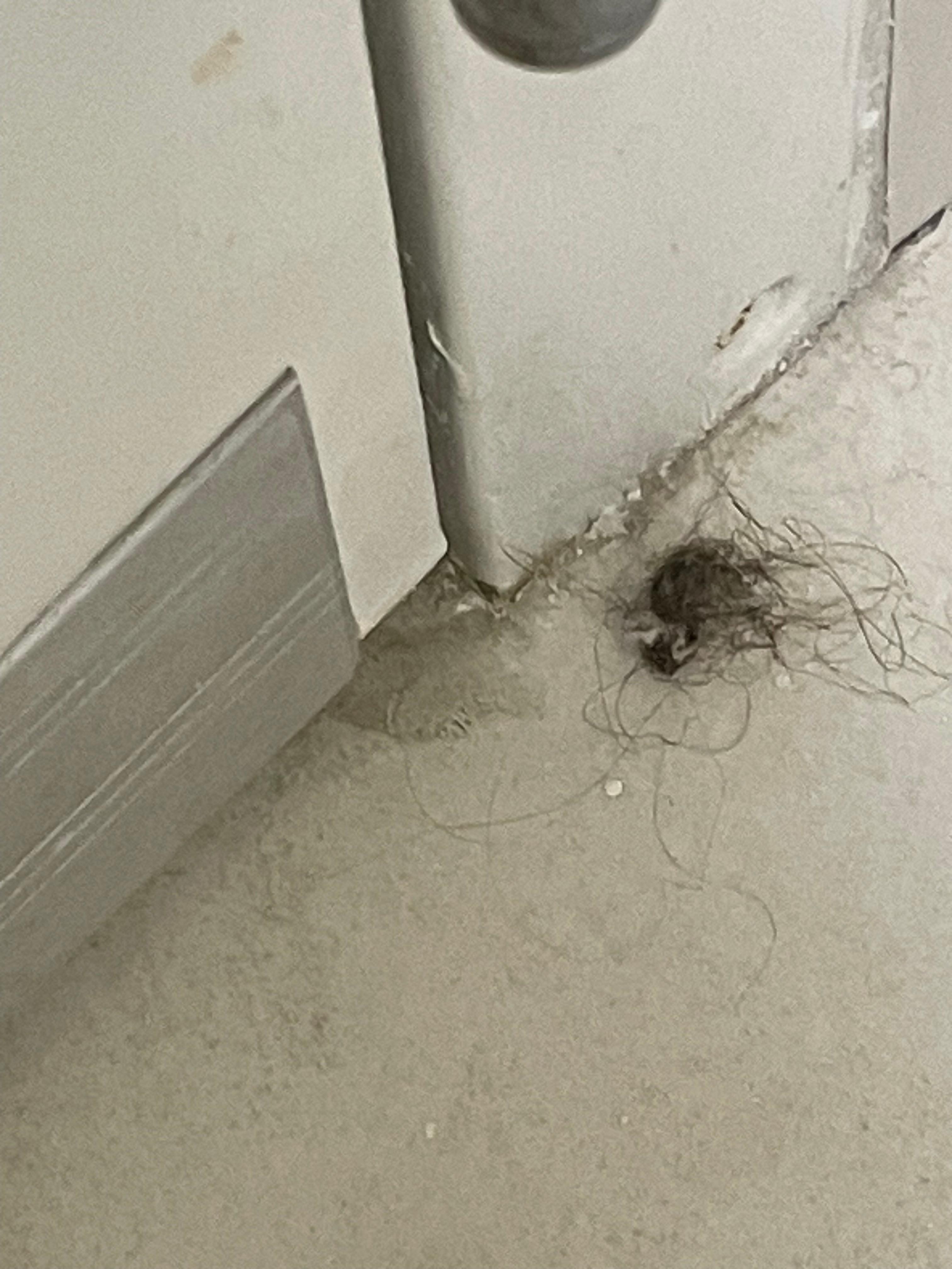 Hair on the floor