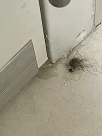 Hair on the floor