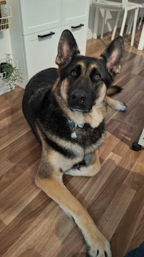 King approves this accommodation!