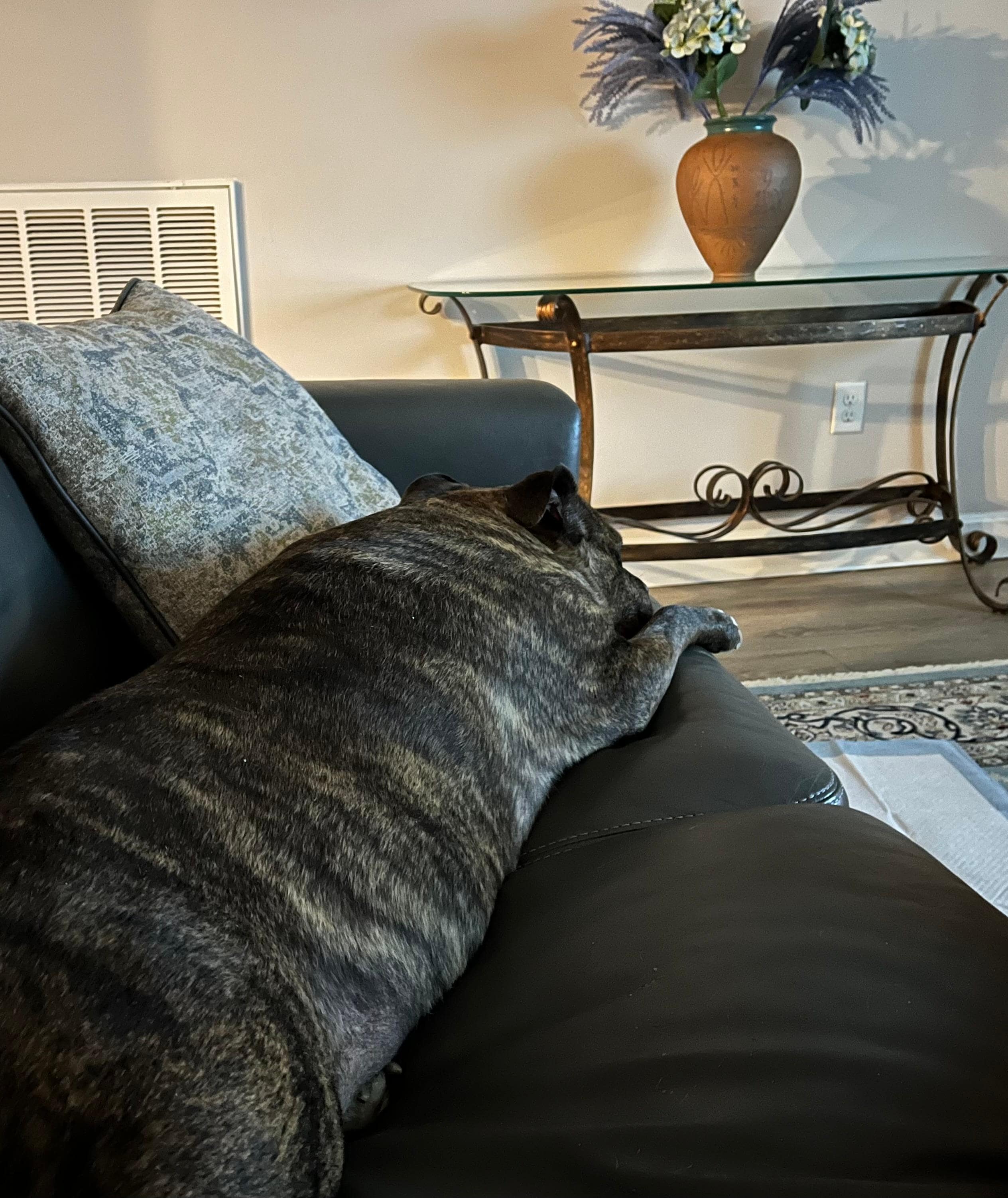 Oops my dog got up in the sofa. she really felt at home. 