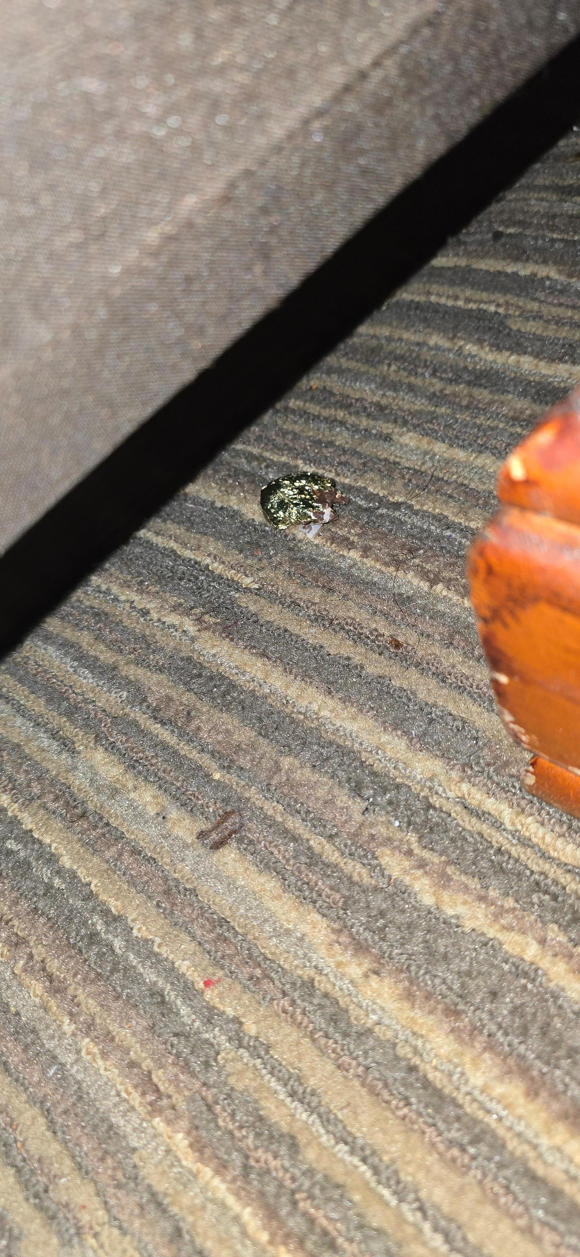 Debris on the floor under the bed, with dust clinging to the edge of the dresser
