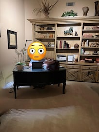 Great office for remote work