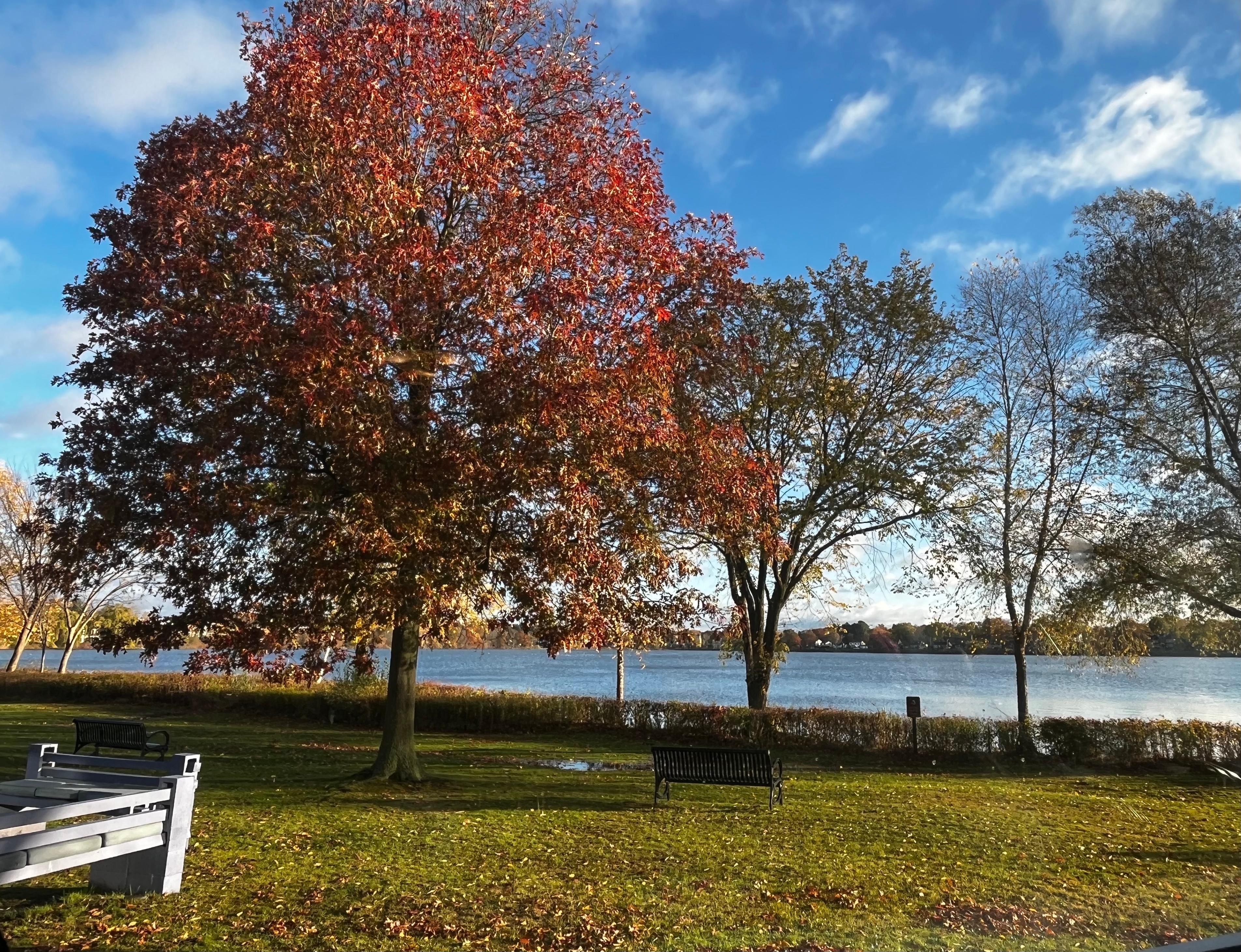 This was from the breakfast area, outside the window is the view of the Lake! 