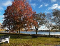This was from the breakfast area, outside the window is the view of the Lake!