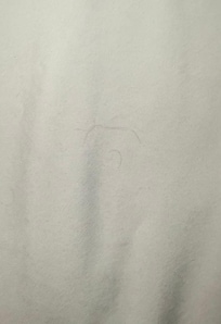 Hard to see with the naked eye but unfortunately, we had to âcleanâ the sheets.