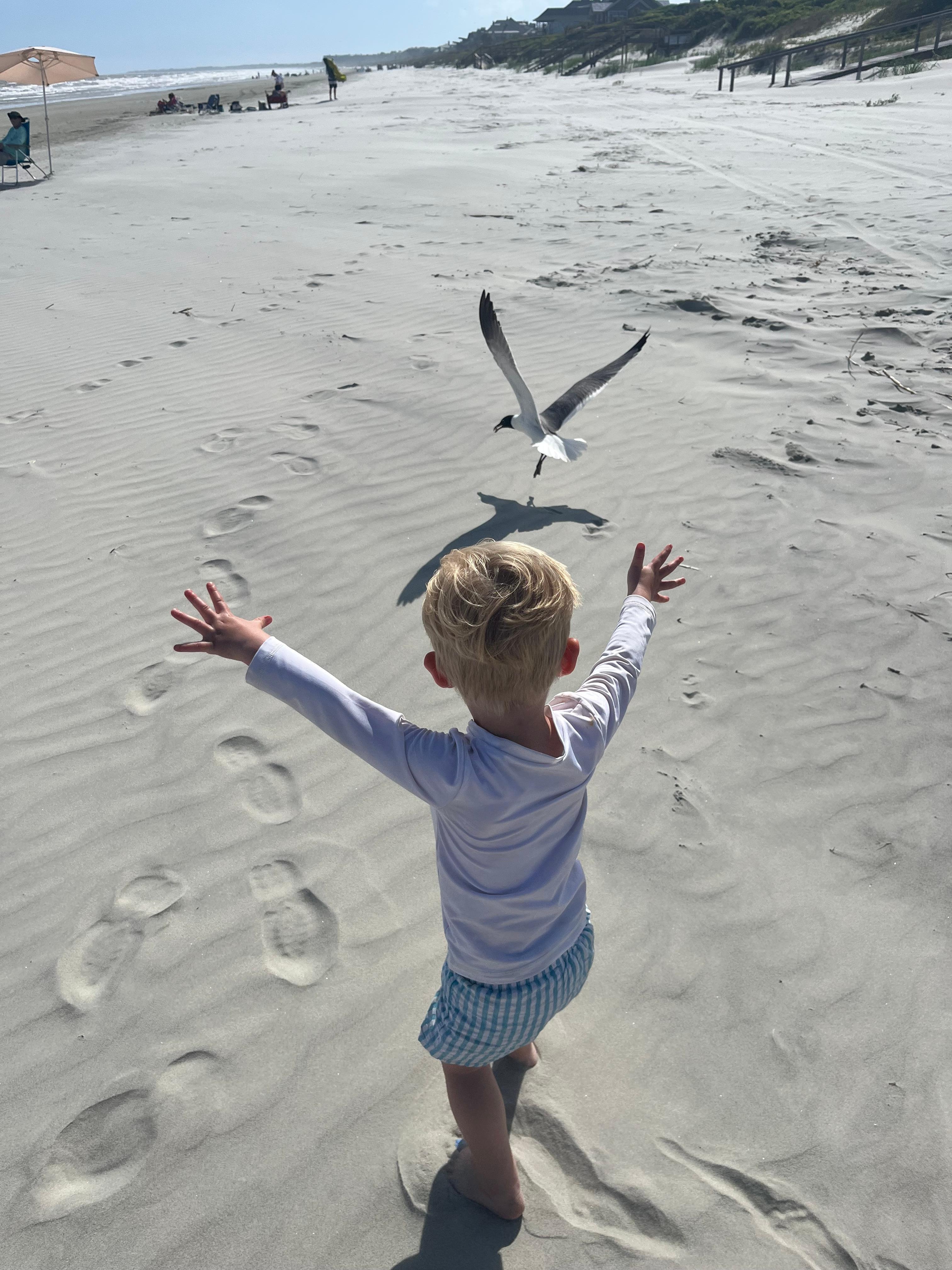 Pristine beach a short walk away