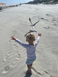Pristine beach a short walk away