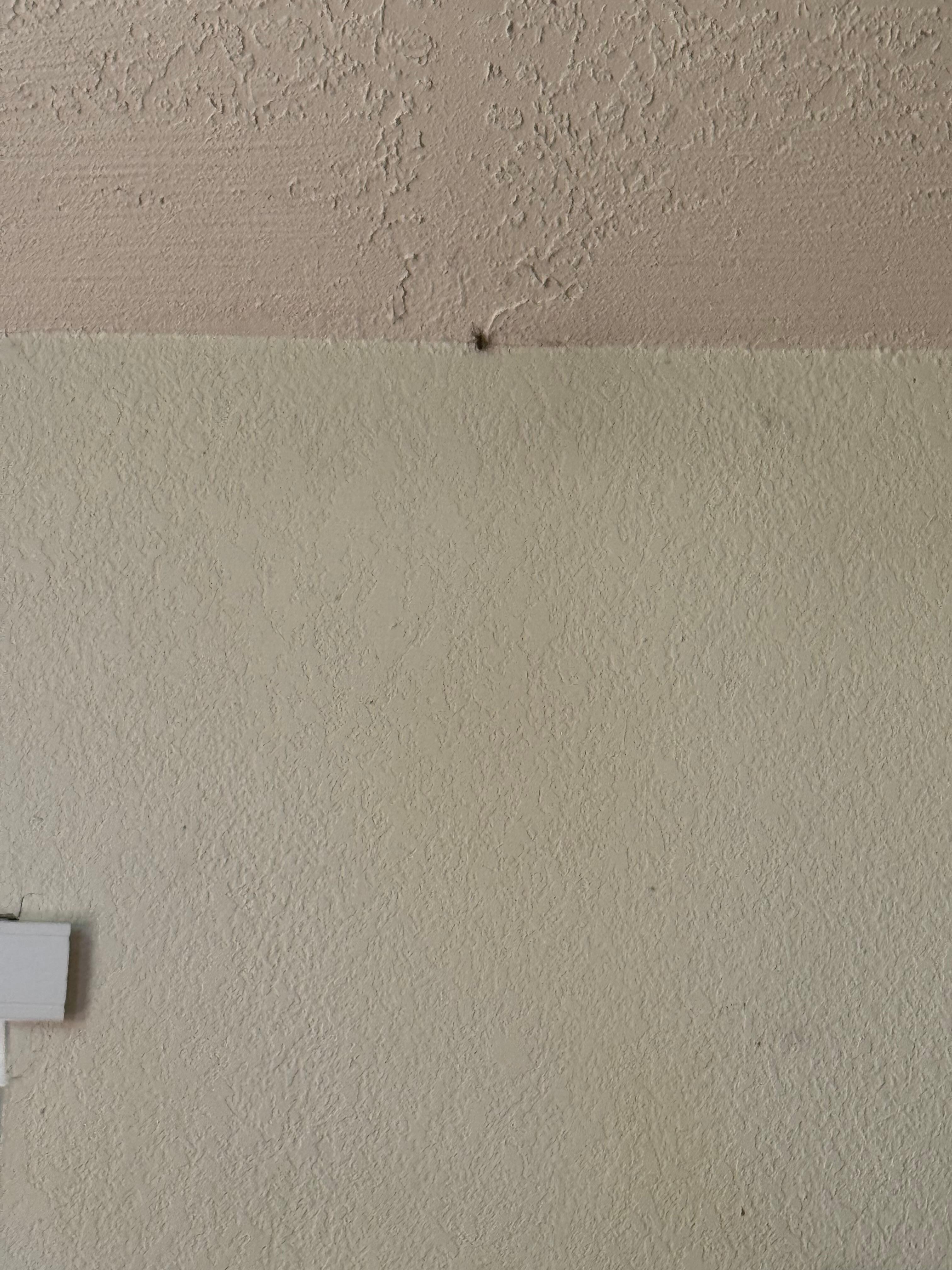 They need to do a clean sweep prior to guests staying. Multiple spiderwebs and spiders throughout. 