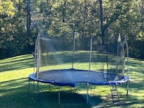 We caught some unregistered guests in the backyard!