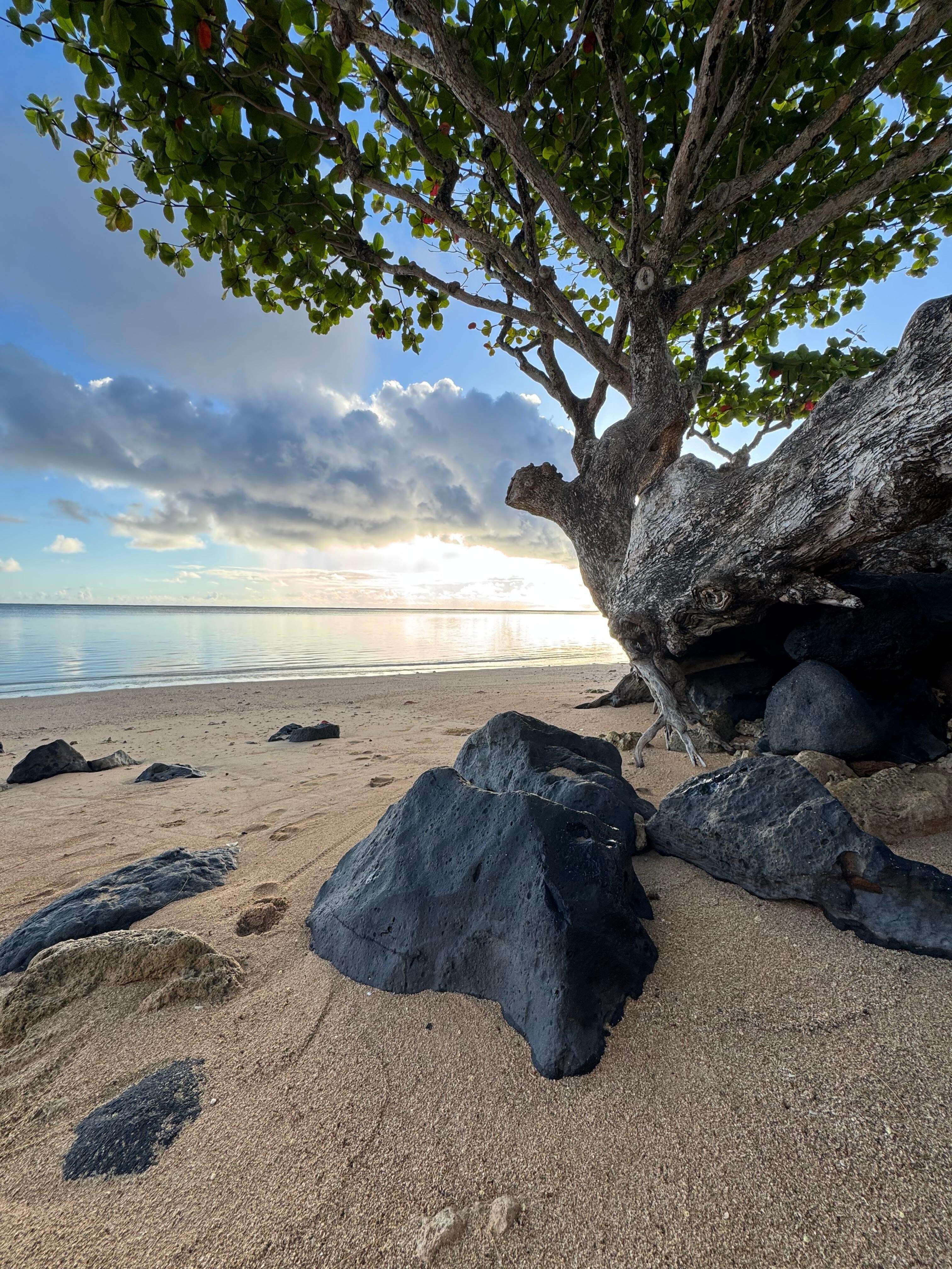 Anini Beach across the street from home.