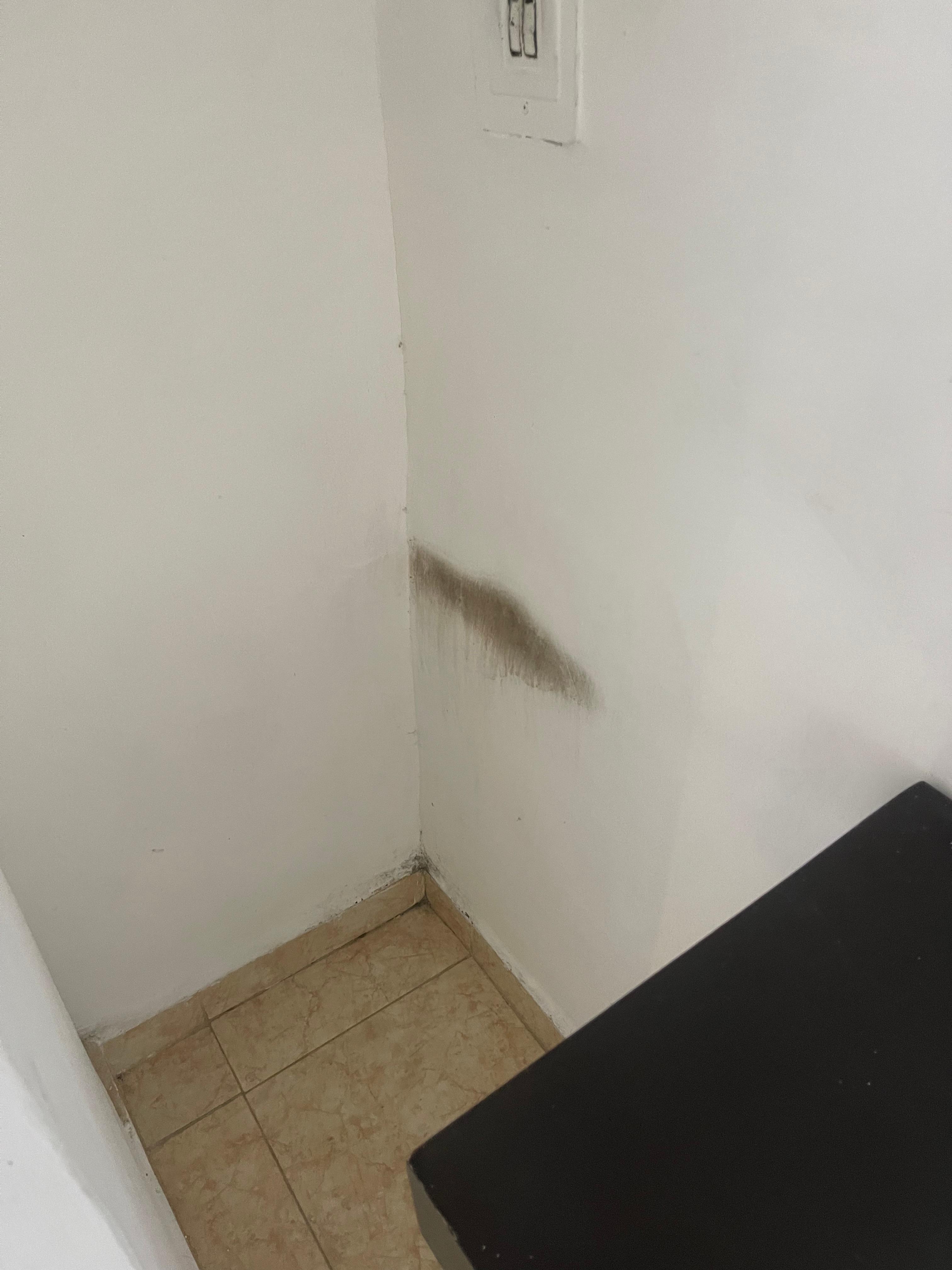 Suspicious mold mark?