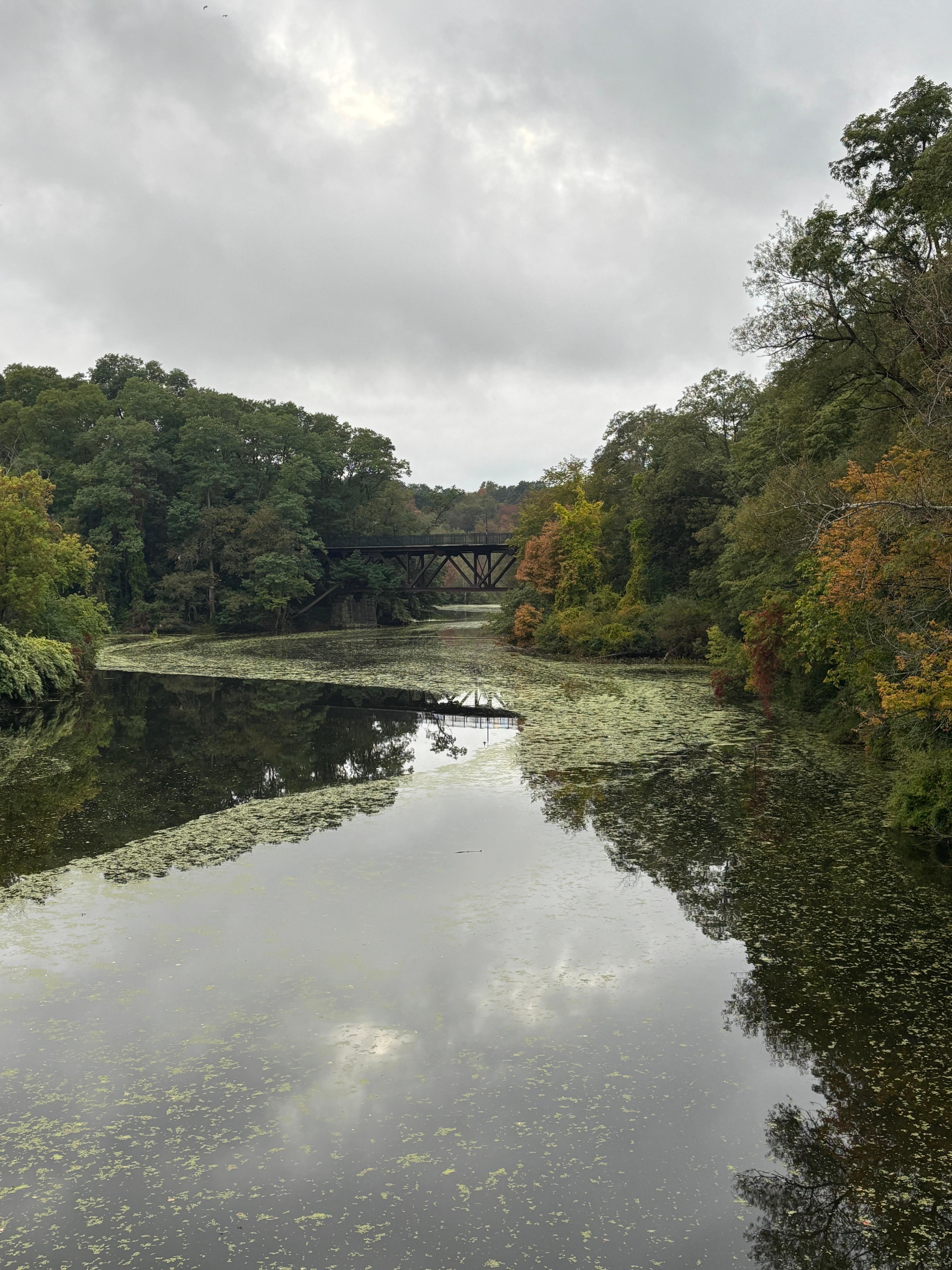 The bridge that’s just 6 walking minutes from the apartment! 