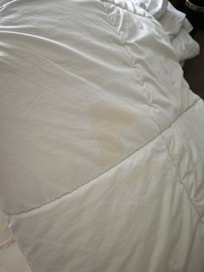Urine-stained Duvet