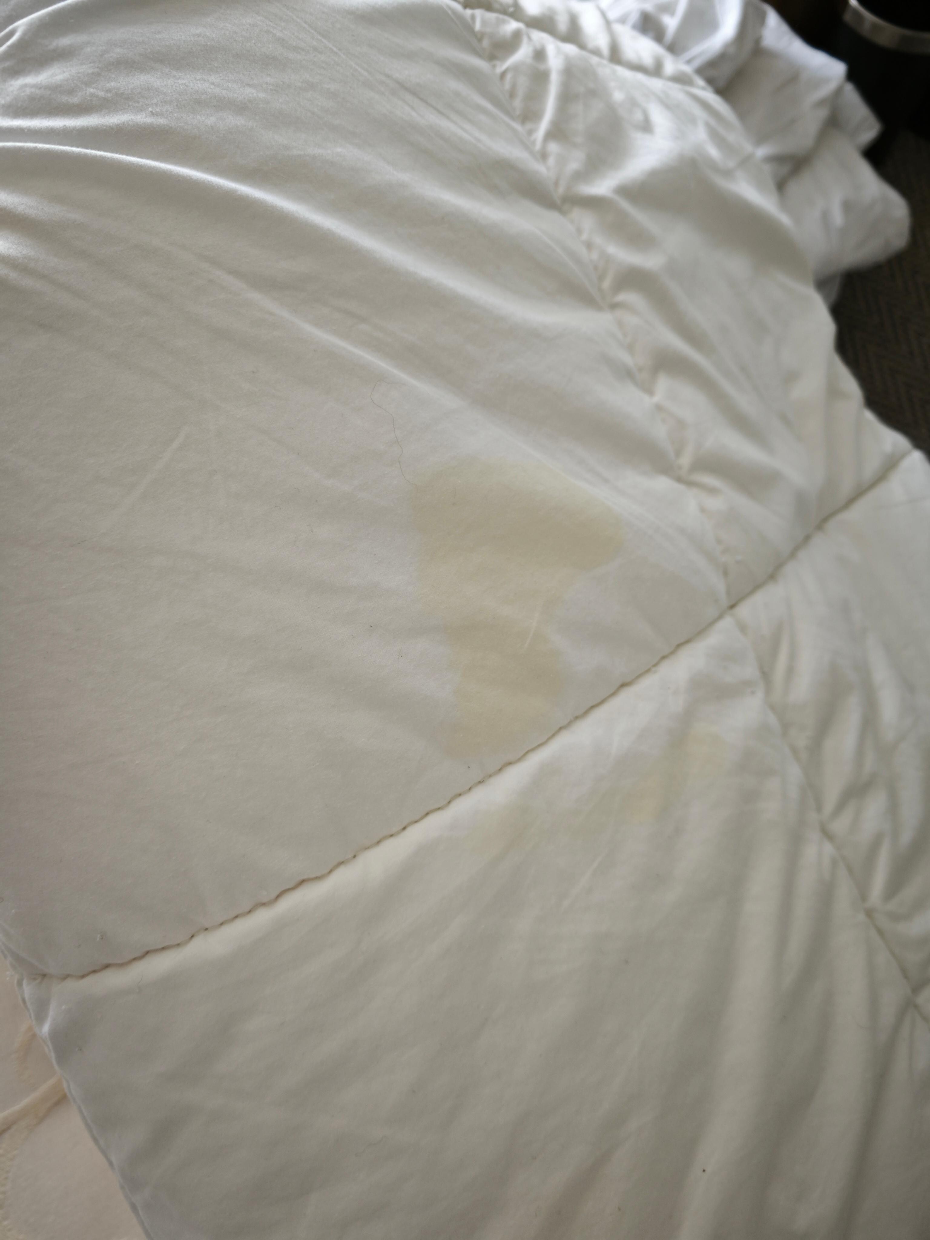 Urine-stained Duvet 