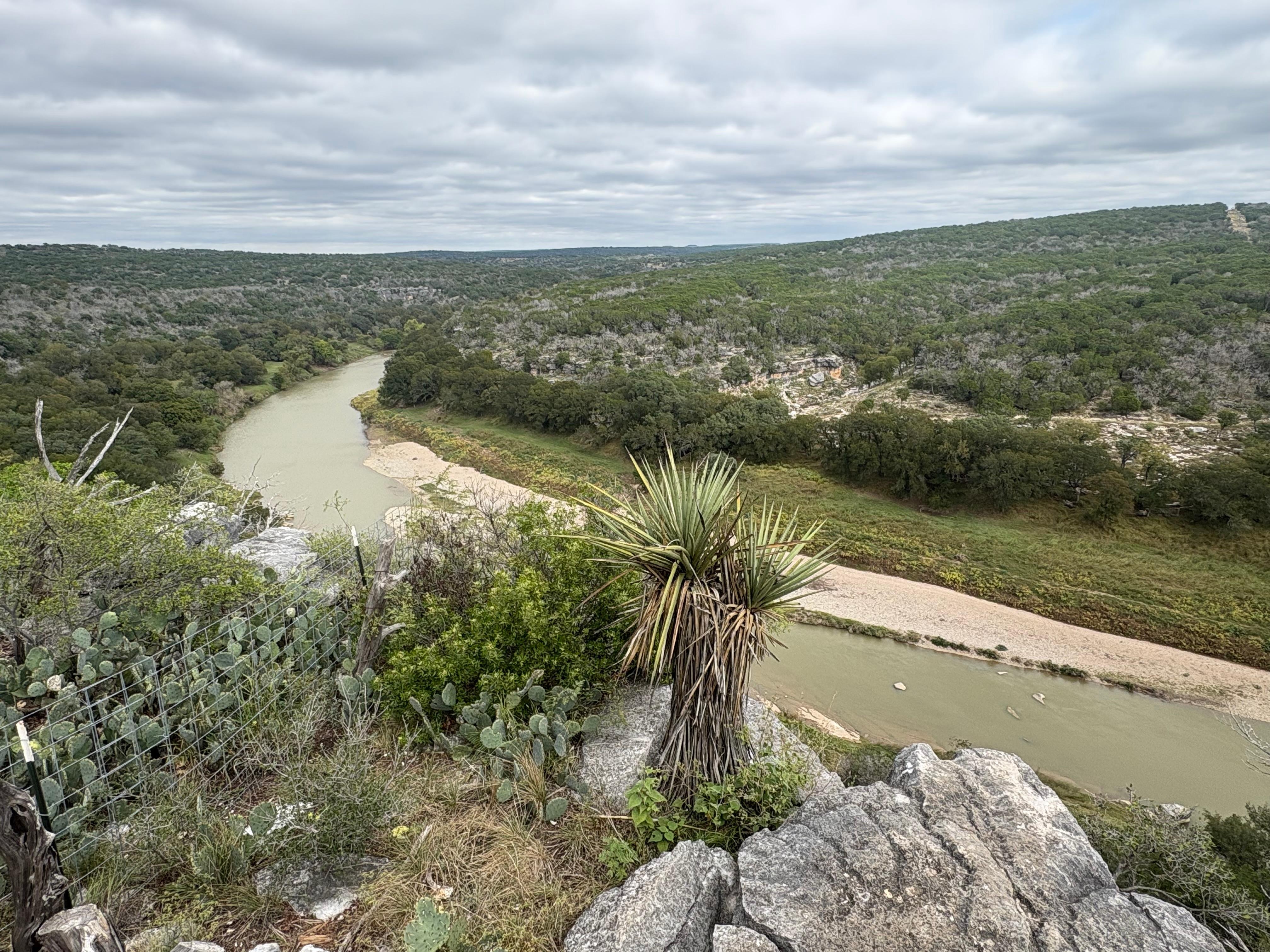 From a hike at nearby Colorado River Bend State Park.  This is the famous bend