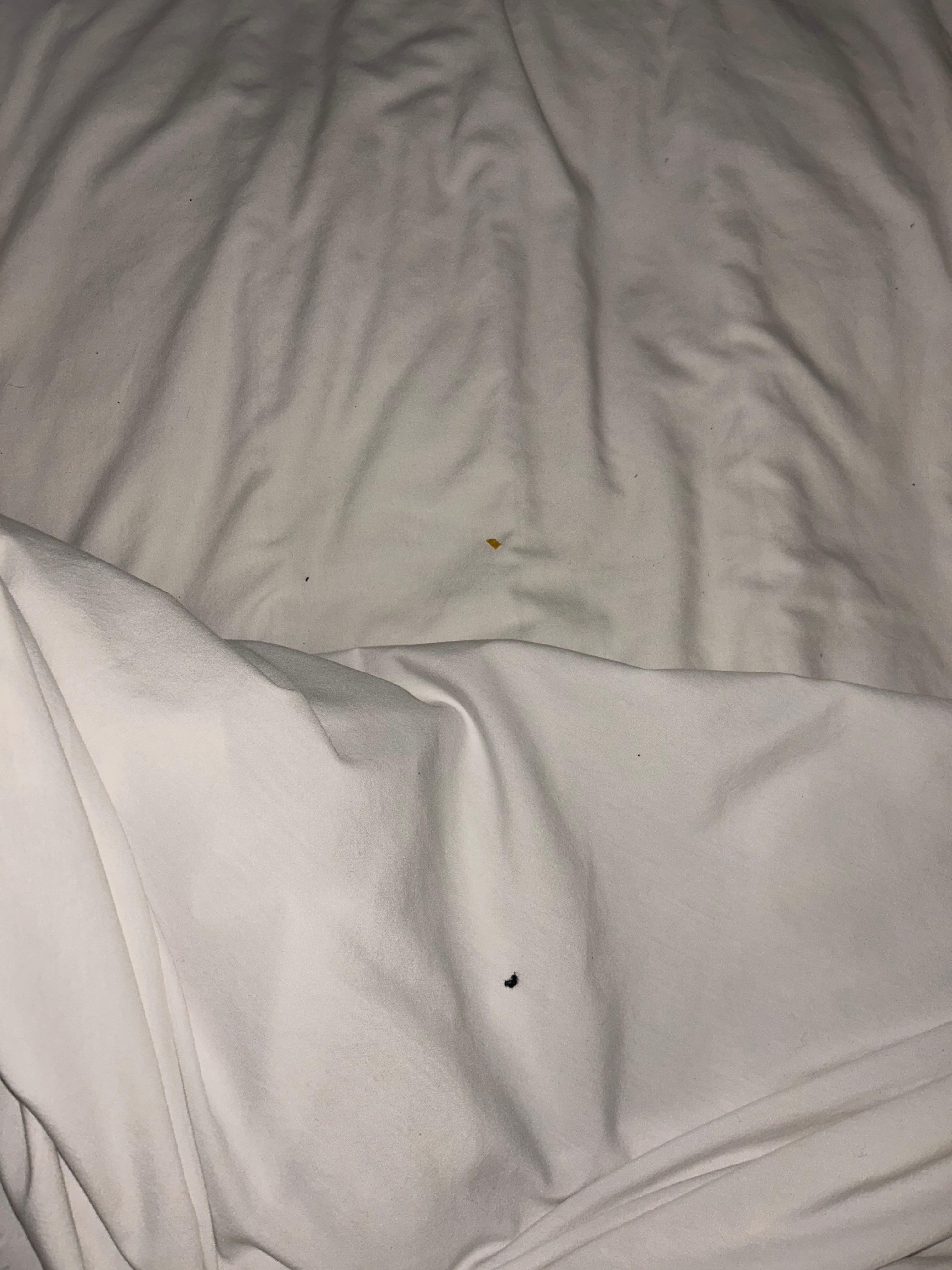 Debris/hair. This leads me to believe that these were not clean or fresh sheets. 