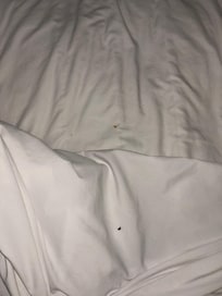 Debris/hair. This leads me to believe that these were not clean or fresh sheets.