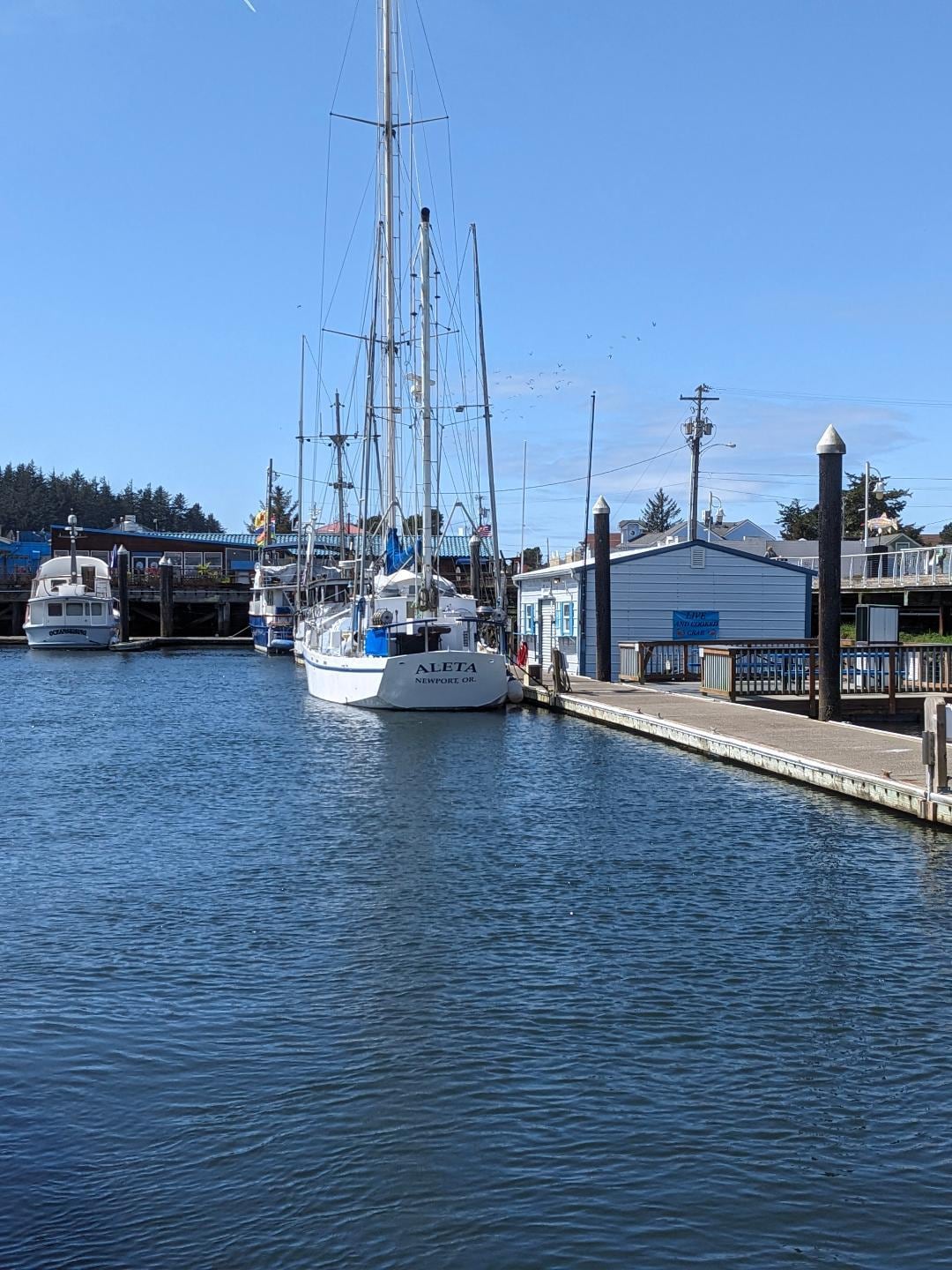 Novelli's in Florence on the Water