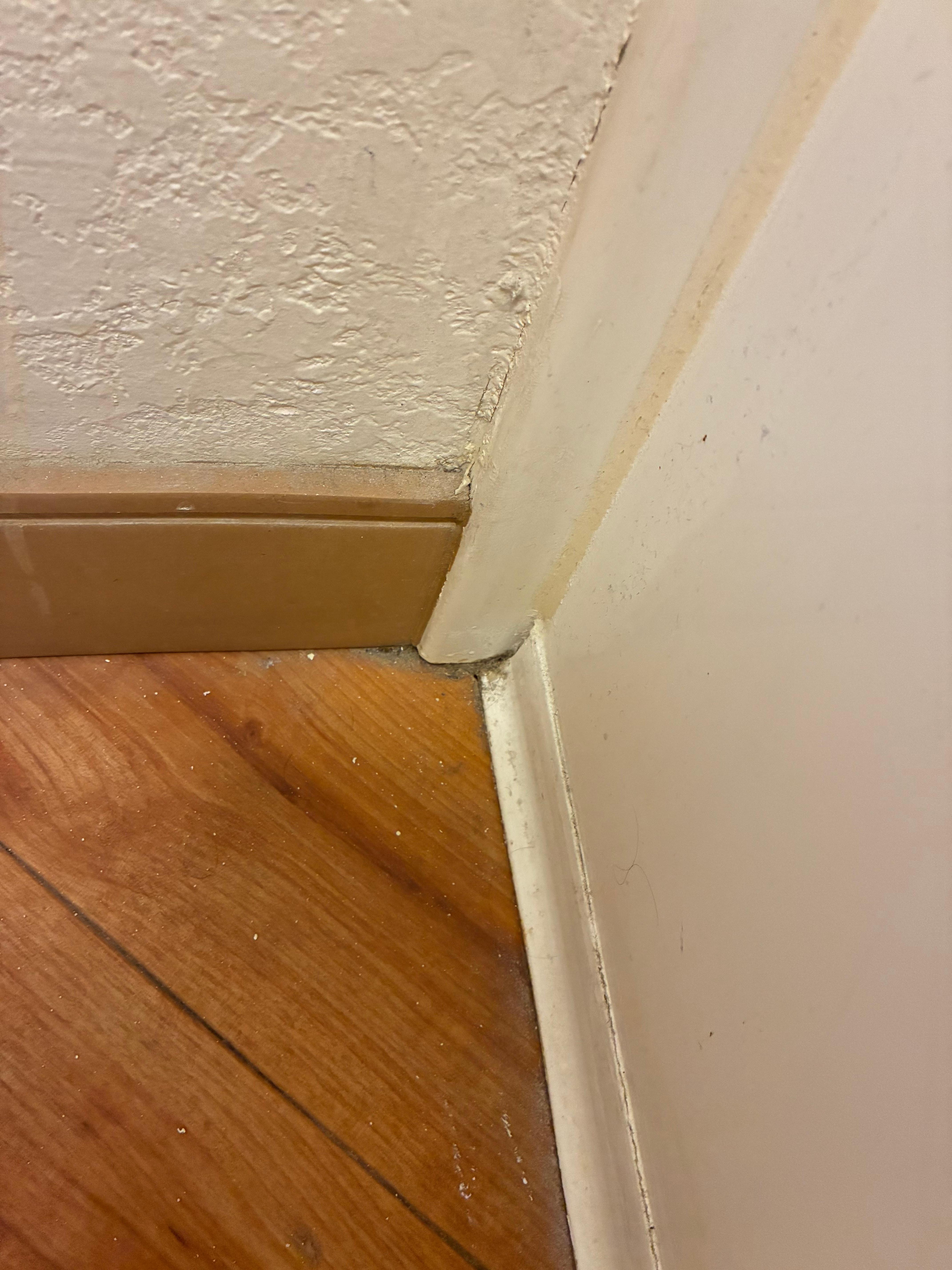 Don’t expect perfection, this is gross