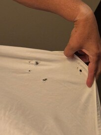 Holes in sheets