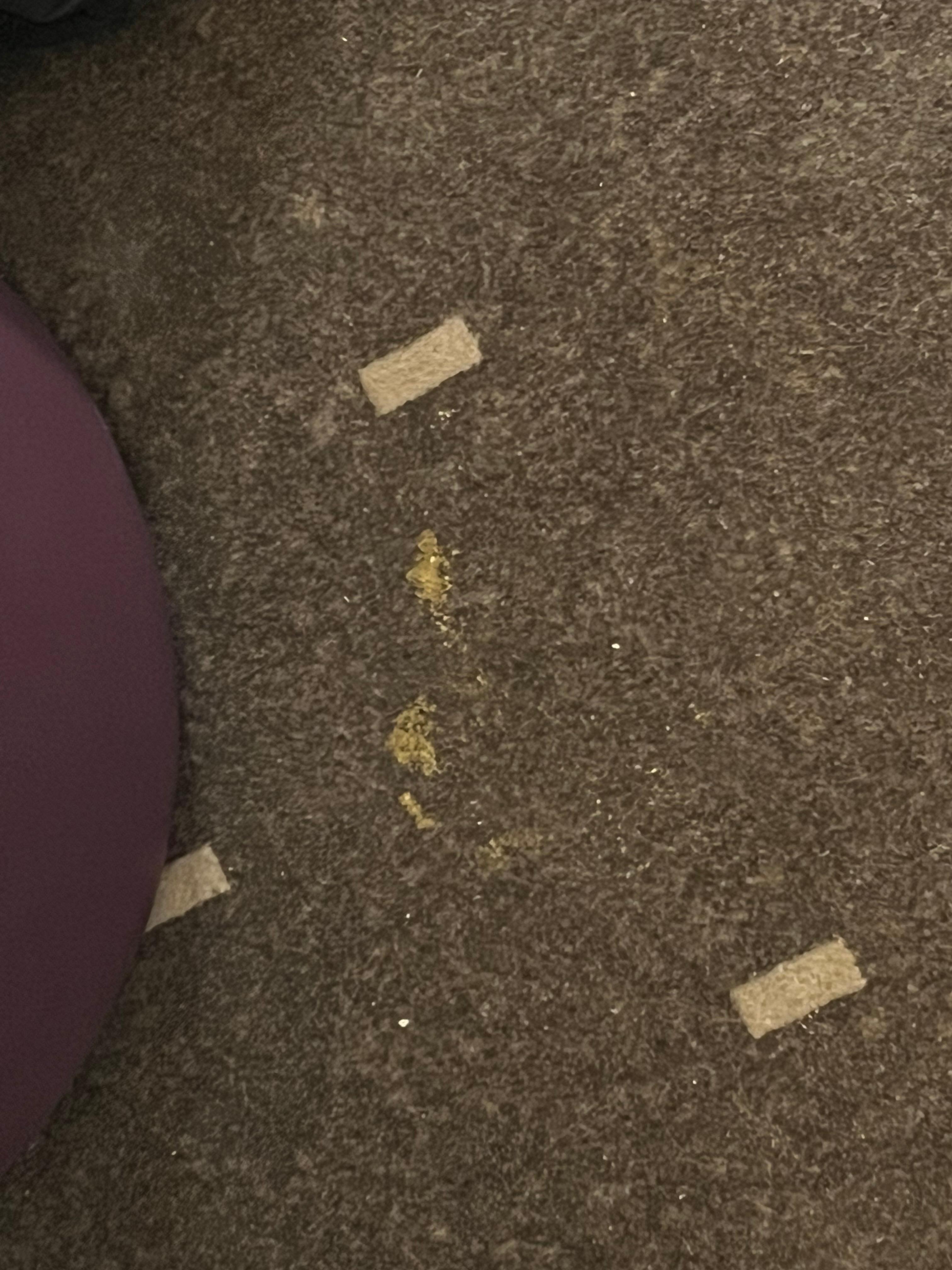 Flecken auf dem Teppichboden