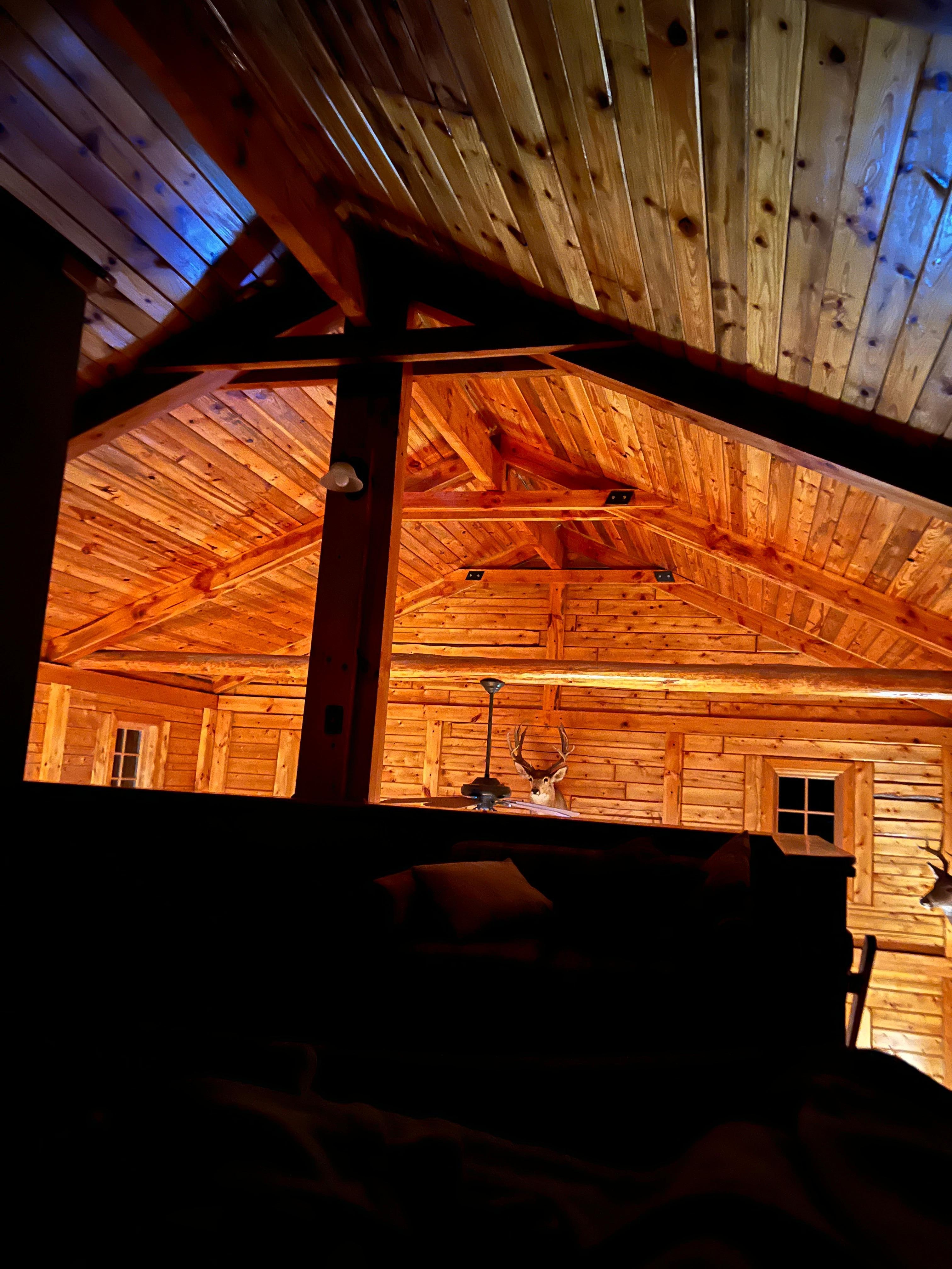 Such a cozy view from the loft!