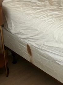 Stain on box springs