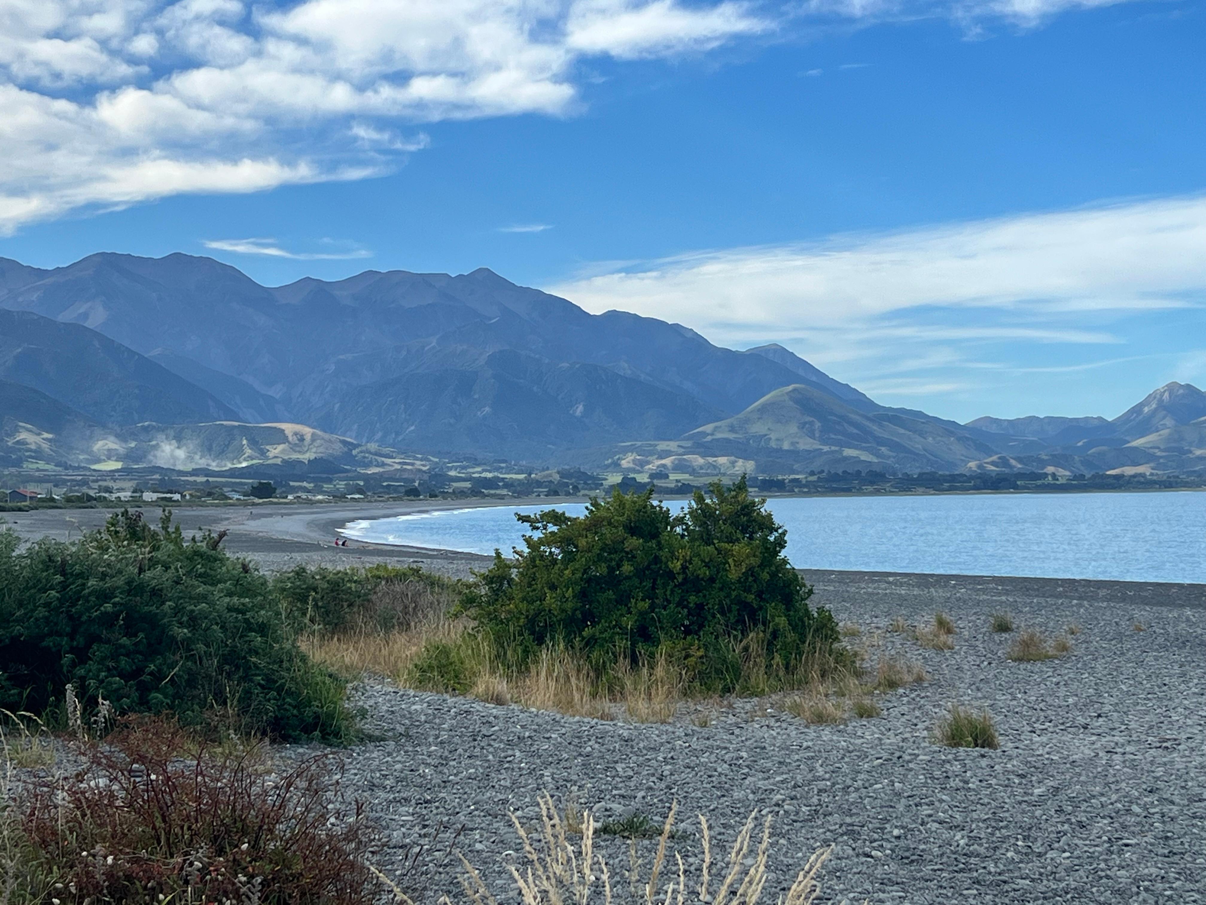 Beautiful beaches and sea wildlife. 