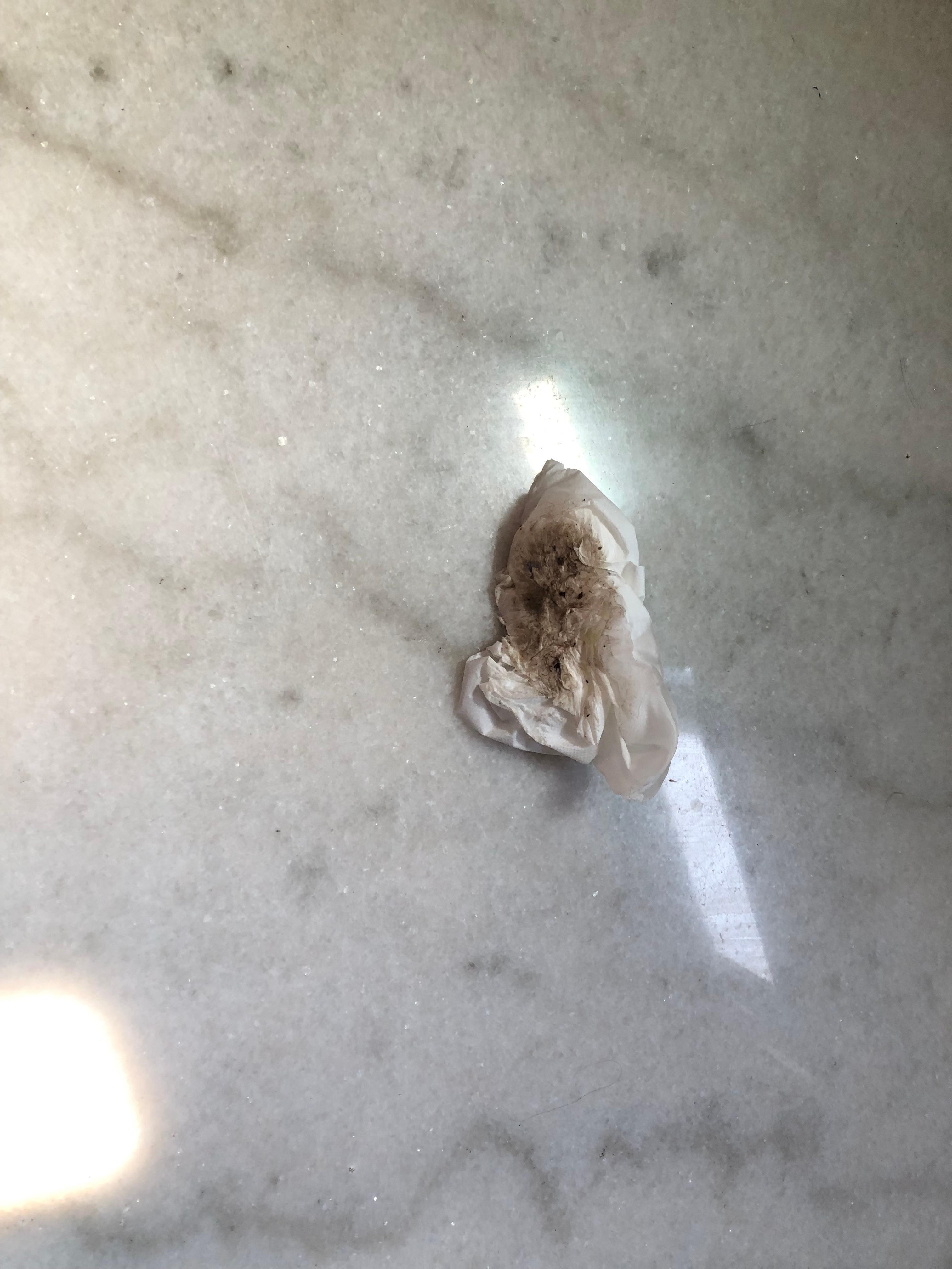 Wiped bathroom floor