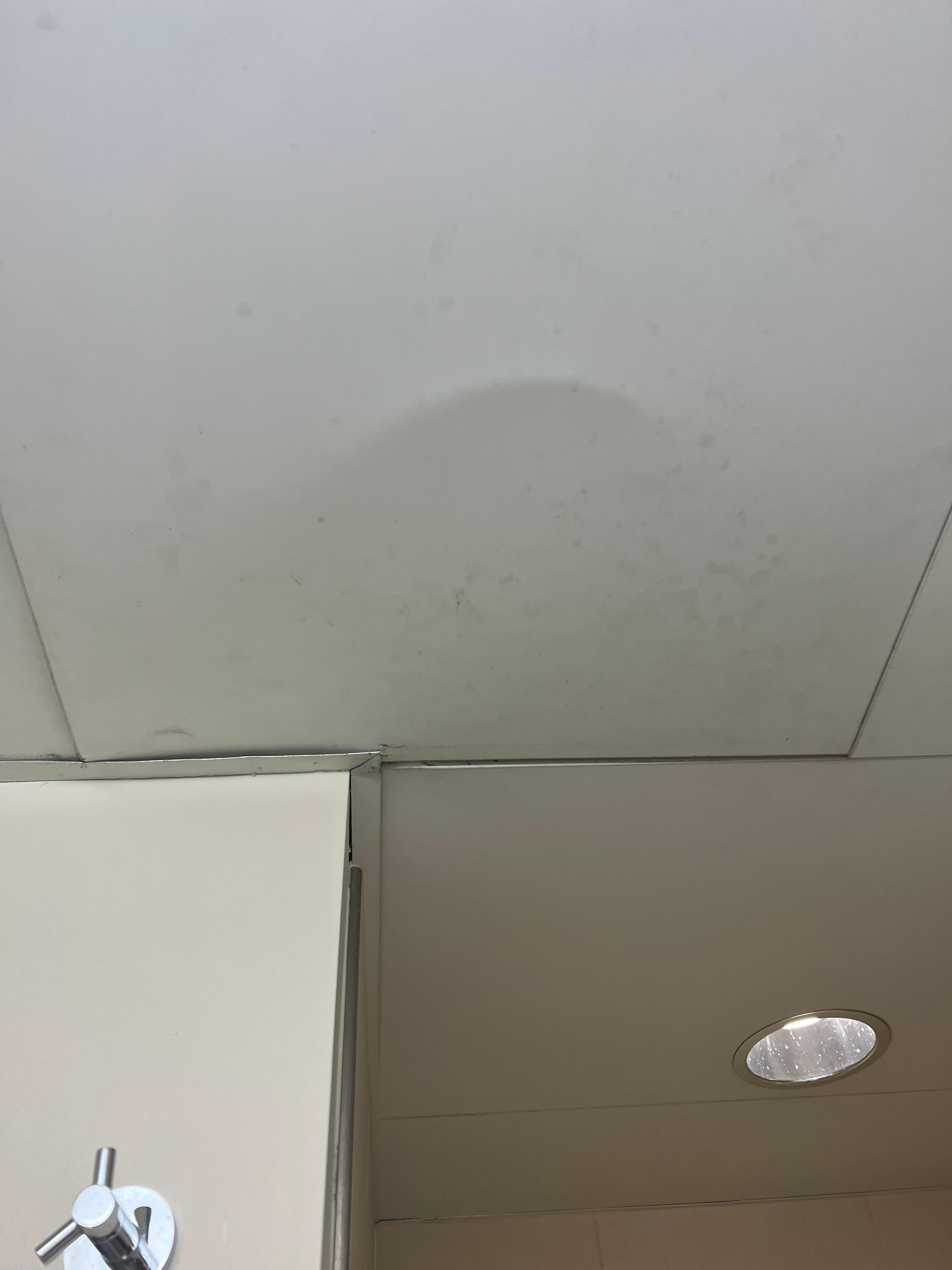 Stains and water damage on the bathroom ceiling, no fan or vent
