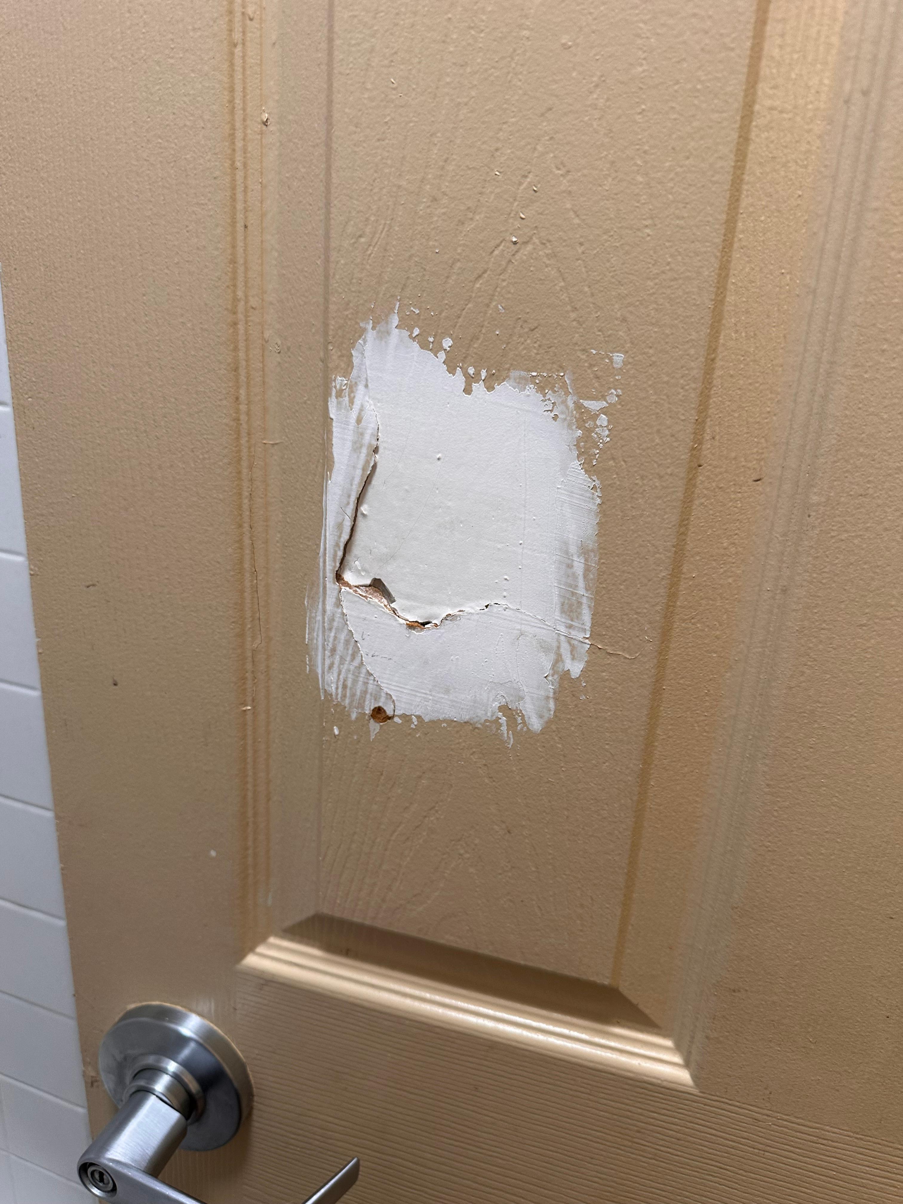 Bathroom door 