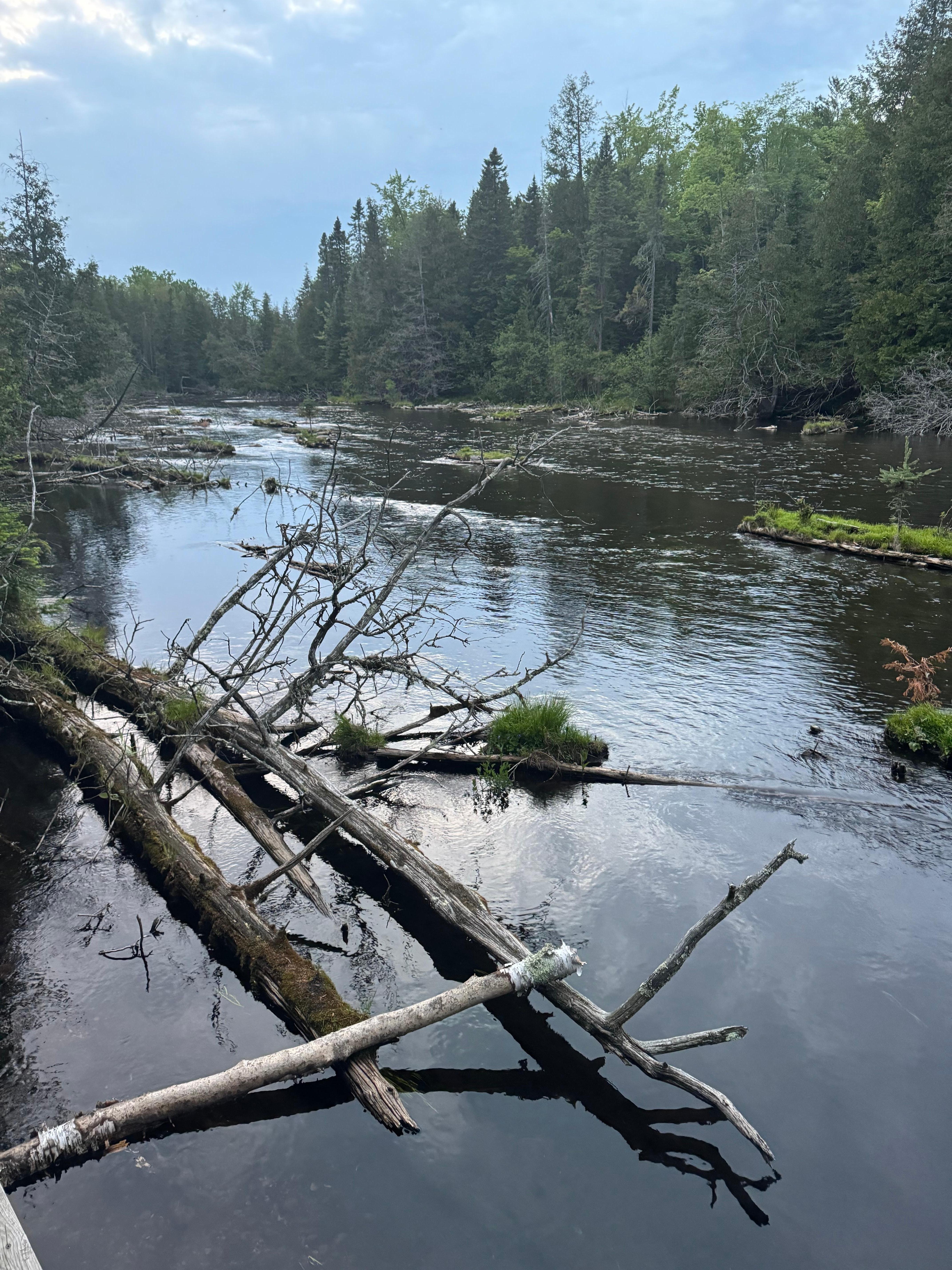 Wider area for beginners 