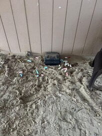 Rat poison box down under the home. I really don't know how the sidewalk chalk got there and hoped no children had been playing down there because it was such a hazard.