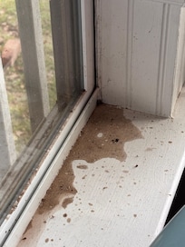 Water/ dirt buildup in master windowsill