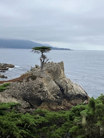 17 mile Drive..