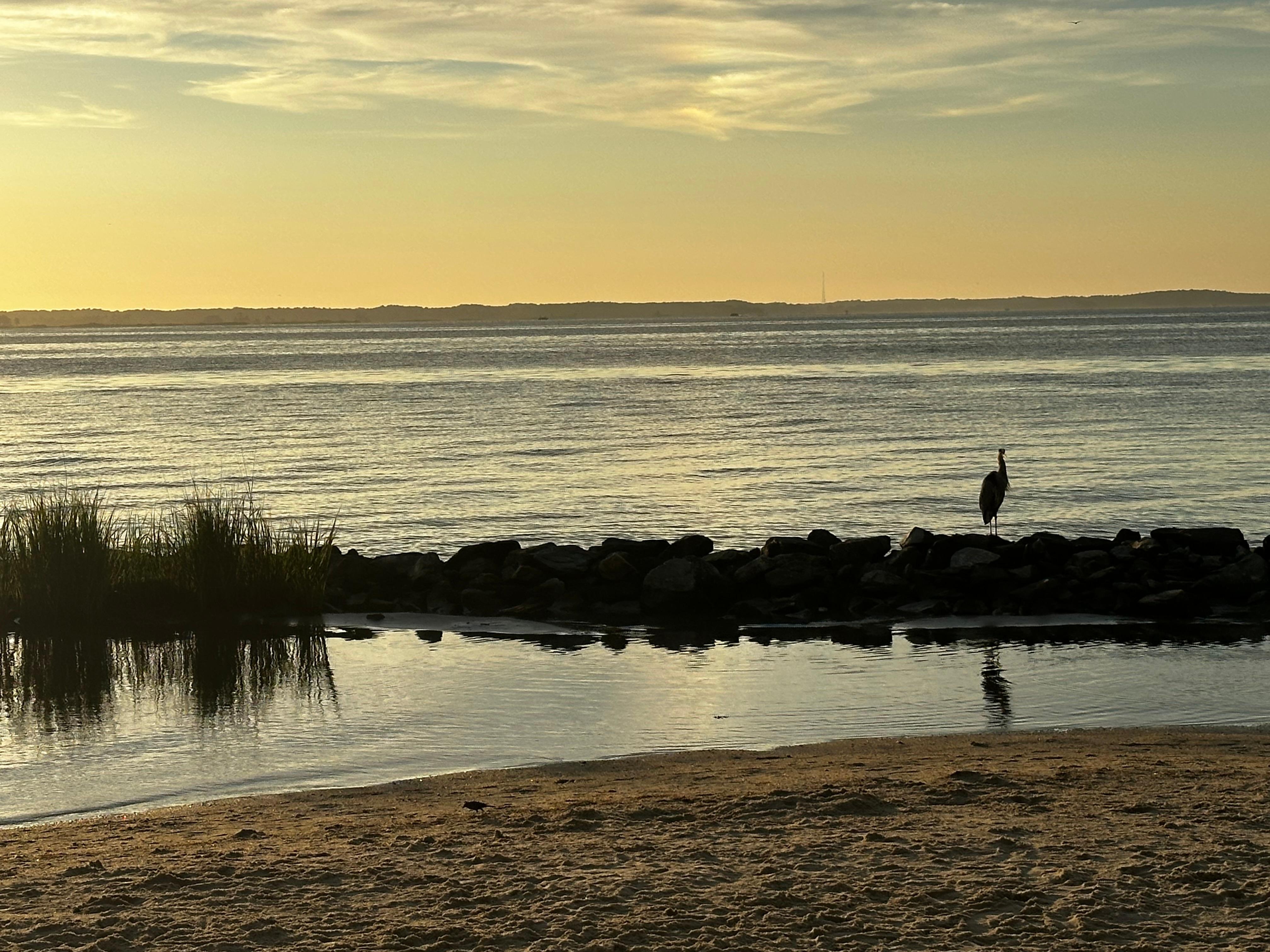 Sunsets on Sunset Island ☀️