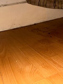 Flecken und Schimmel unter Bett 1