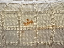 Bedspread had these lovely stains.
