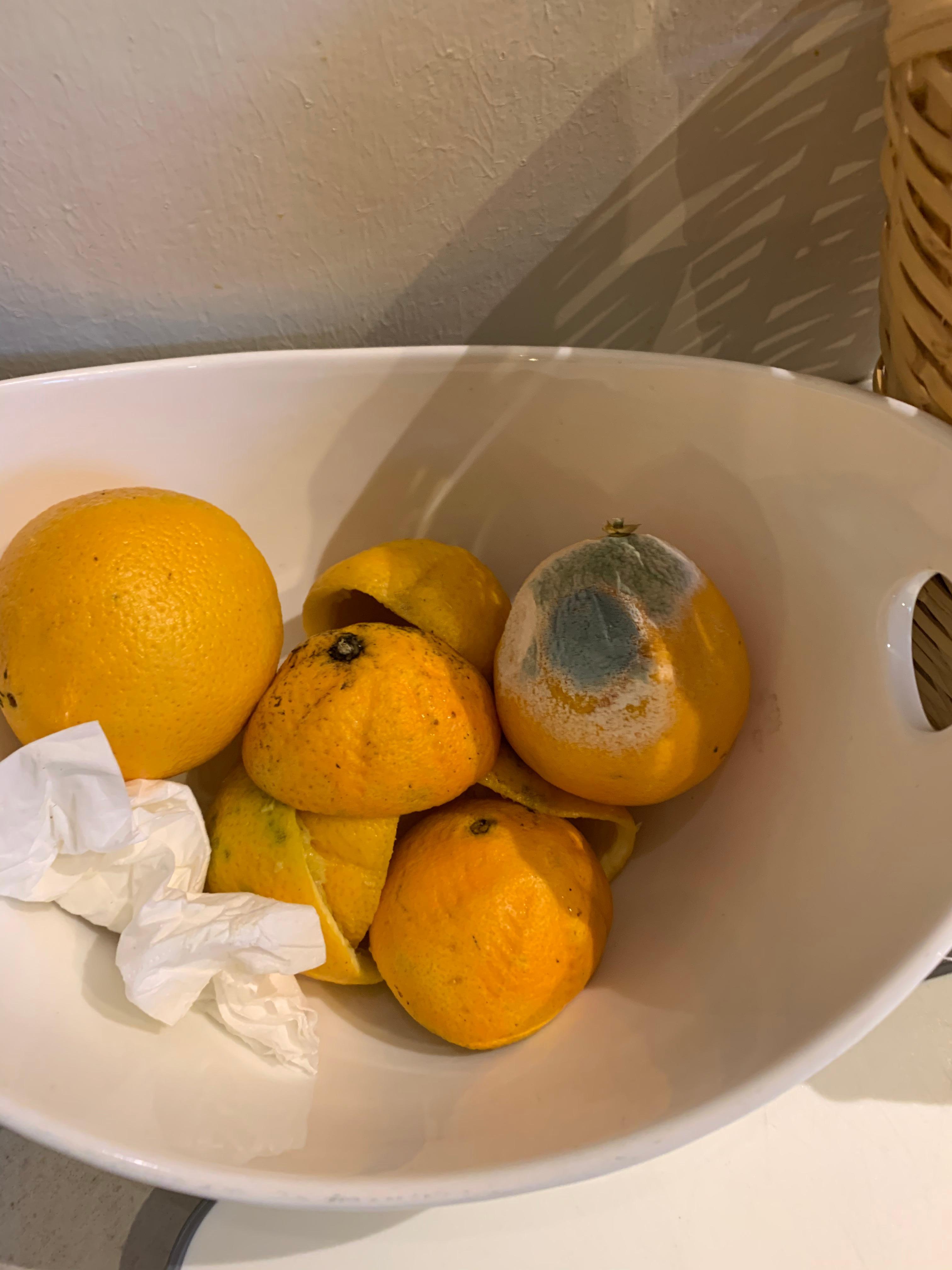 Rotten orange in the breakfast buffet