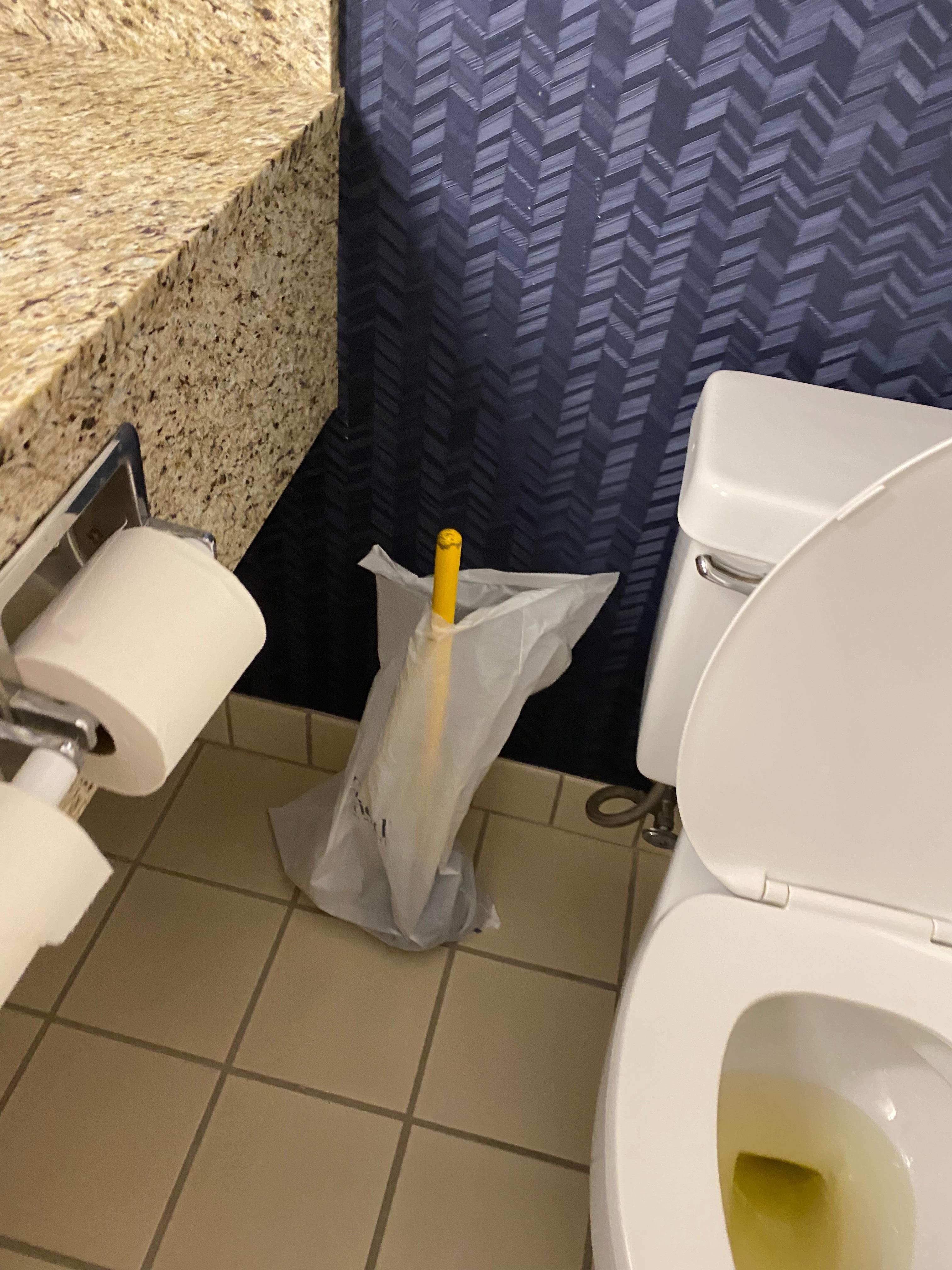 Plunger left for me to use