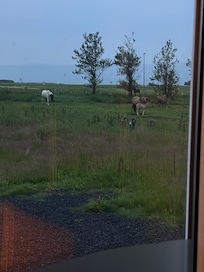 View from the cabin window.