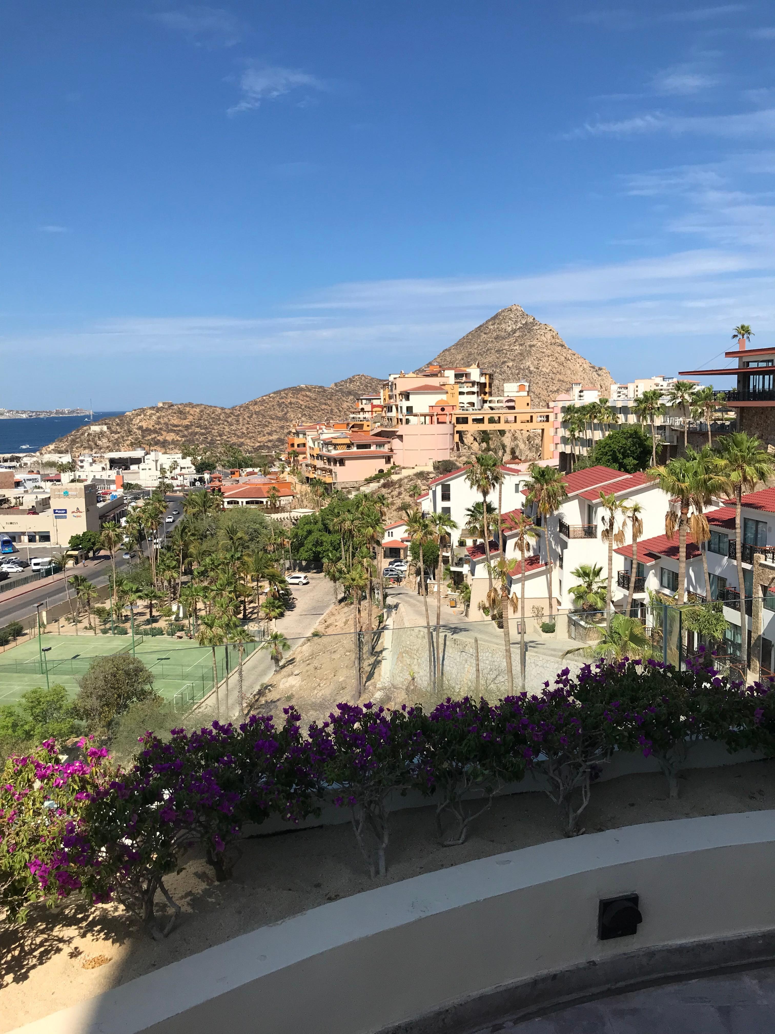 Marina hotel view