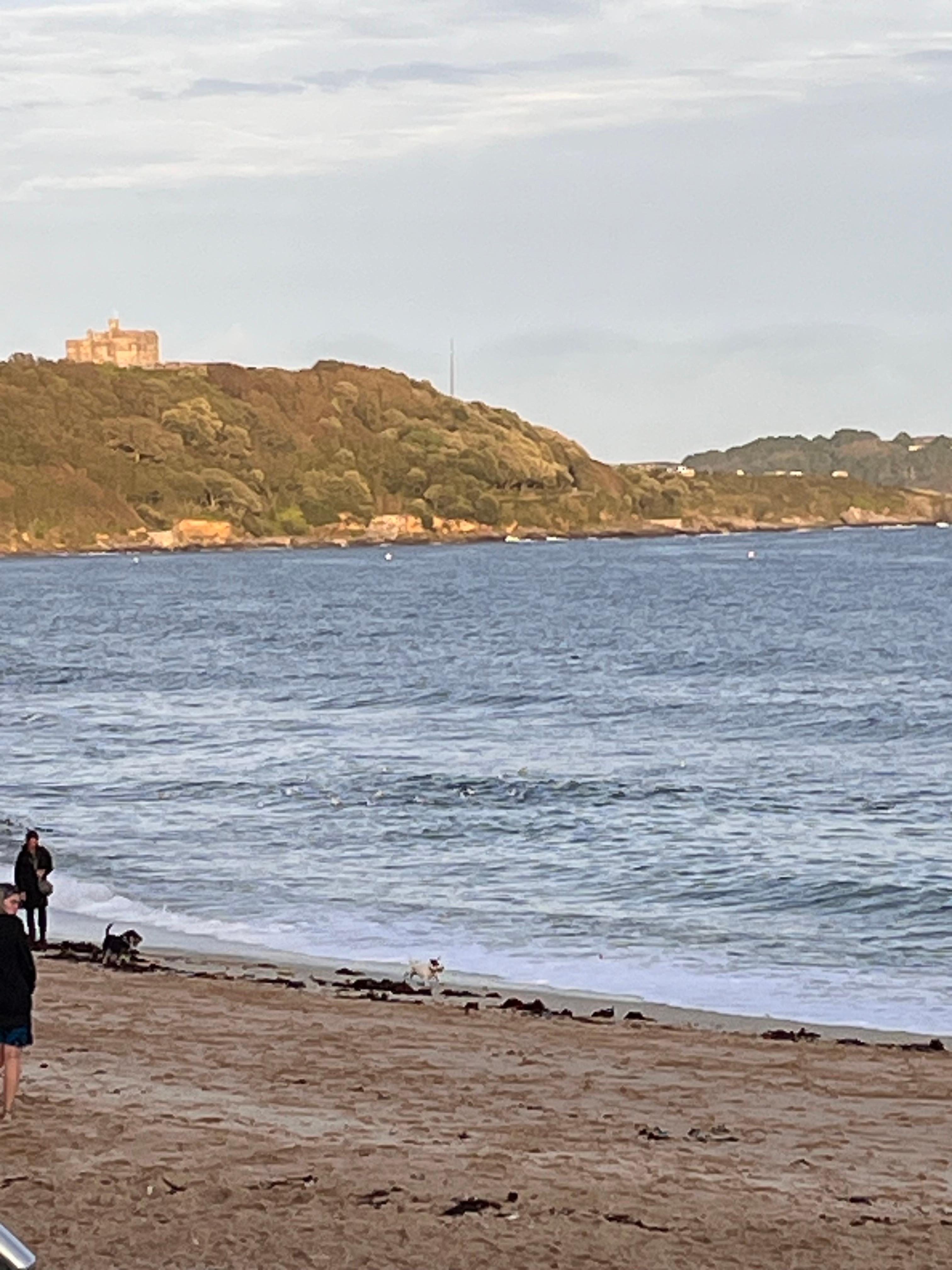 Down on Gyllingvase beach