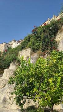 Gardens of hotel