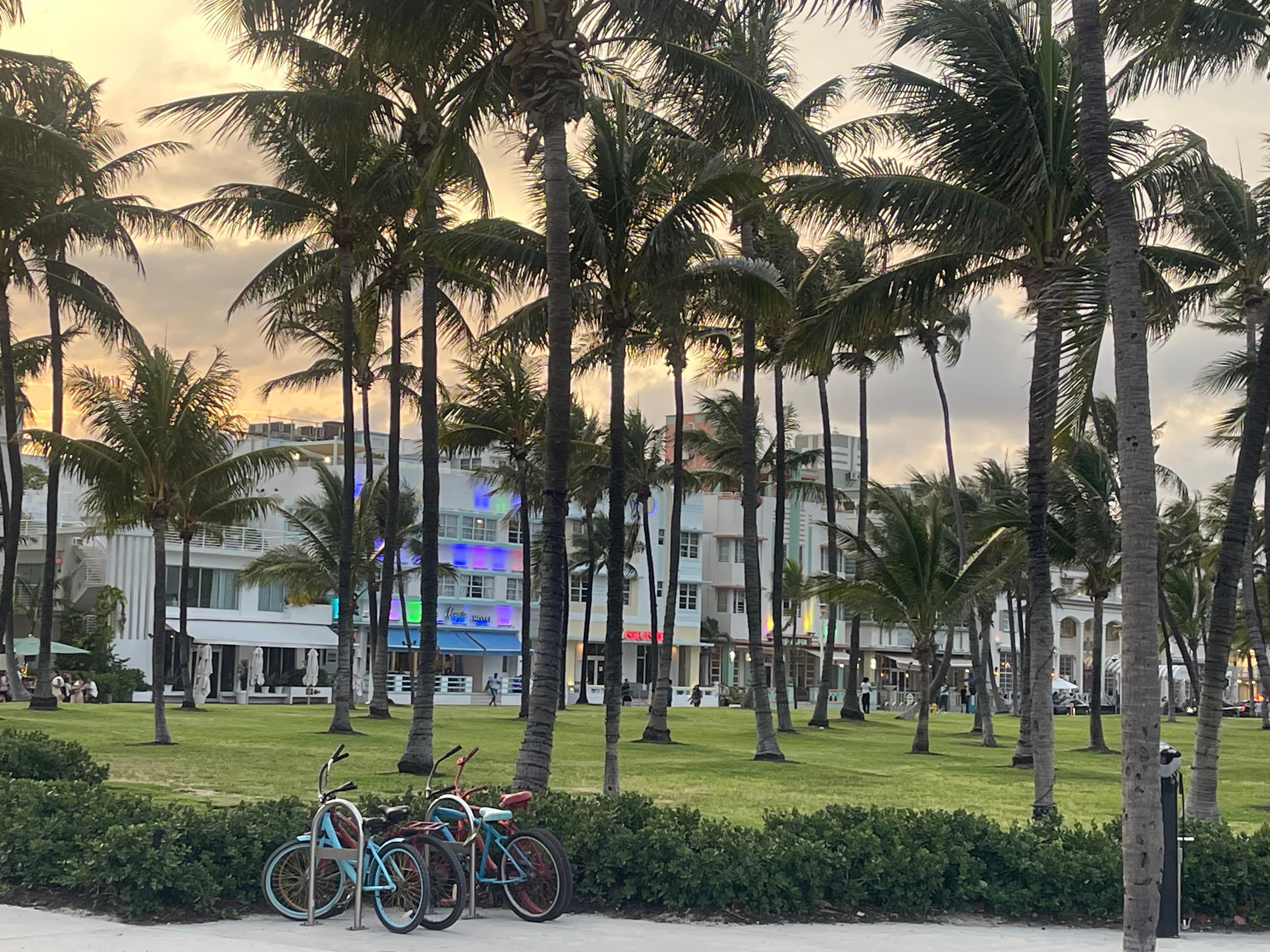 View from the beach looking back at the hotel / Ocean Drive